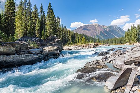 Taseko announces improved economics for Yellowhead Copper Project