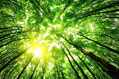 Teck releases 2017 Sustainability Report