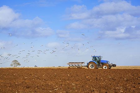 Fertile ground after mining: Growing crops and communities on reclaimed land