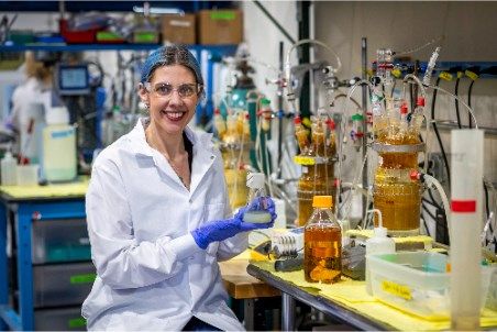 Mining has always looked to rock for answers – The next clues come from life