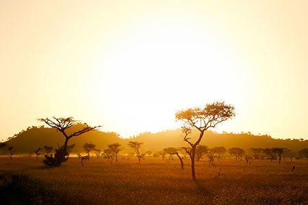 Wärtsilä to provide energy storage solution for Malian Mine