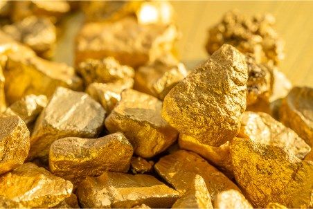 Innovative ‘phytocapture’ from the Sustainable Kazakhstan Research Institute helps trap airborne dust near Zijin Mining's Kazakh gold mine